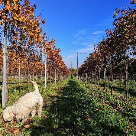 Ca' Restom 3* Реджонель-Эмилия