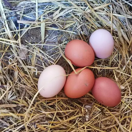 Ca' Restom Отель типа 