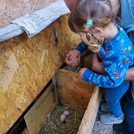 Ca' Restom Отель типа 