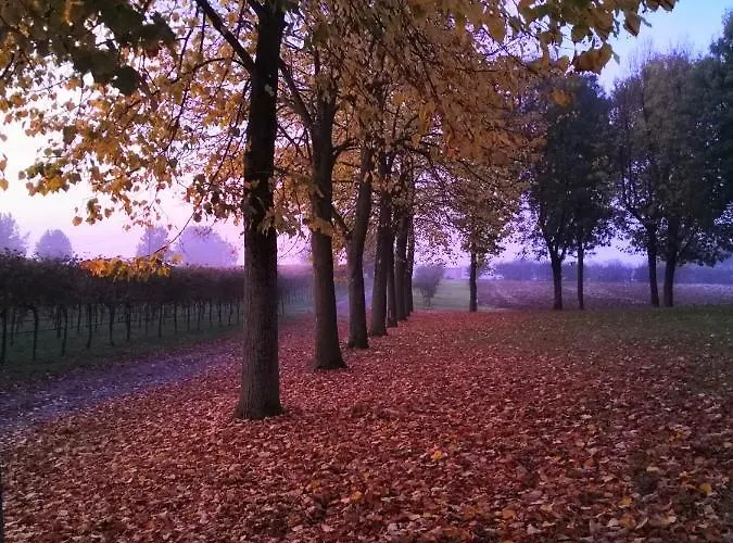 住宿加早餐酒店 Ca' Restom 3*