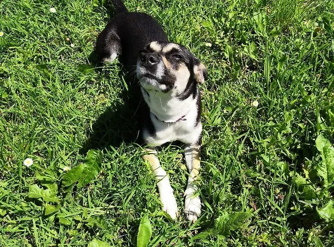 Ca' Restom Reggio d'Emilie