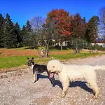 Ca' Restom Bed & Breakfast Reggio Emilia