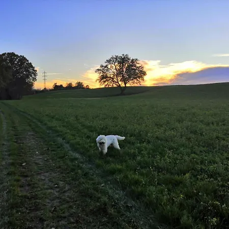 Bed & Breakfast Ca' Restom