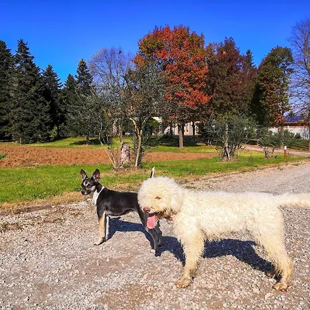 Ca' Restom Bed and Breakfast Ρέτζιο Εμίλια