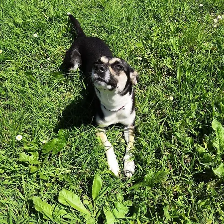 Ca' Restom Reggio Emilia