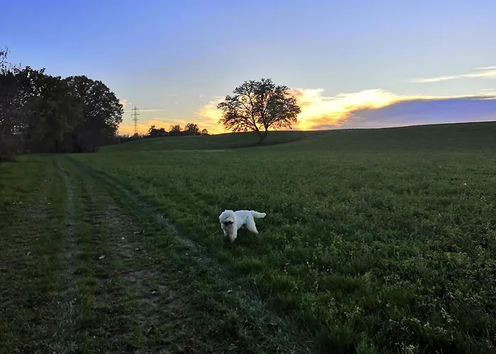 Bed & Breakfast Ca' Restom