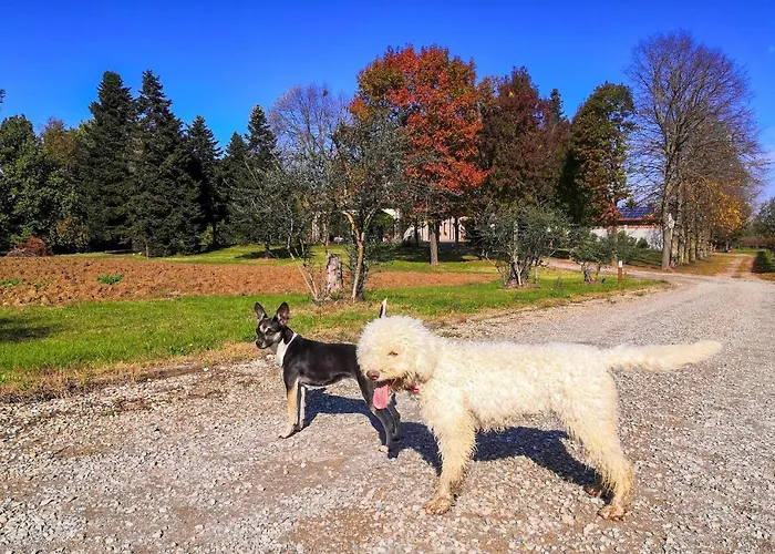 Ca' Restom Bed & Breakfast Reggio Emilia