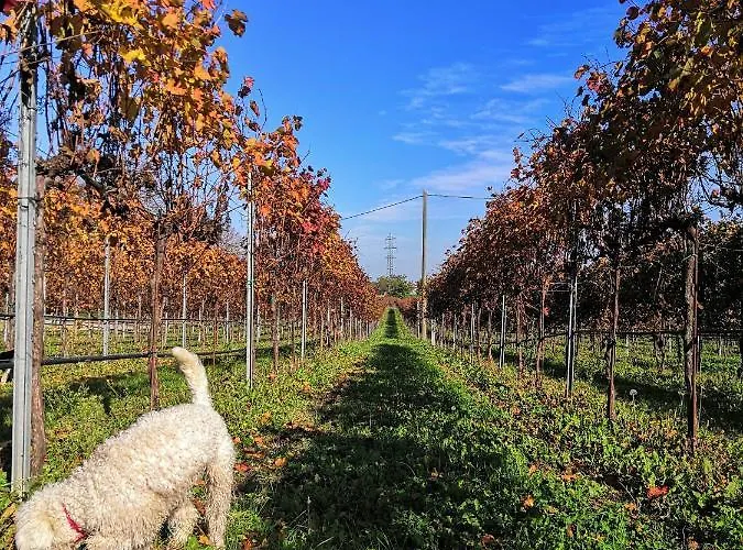 Ca' Restom 3* Ρέτζιο Εμίλια