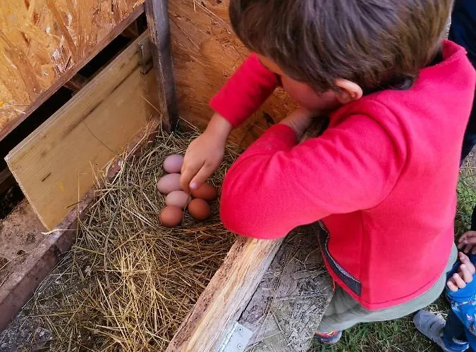 Bed and Breakfast Ca' Restom